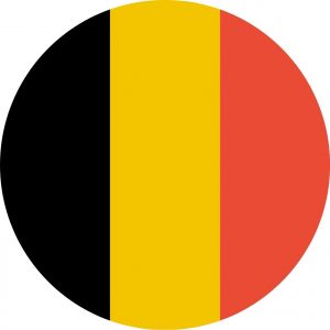 אייקון של דגל גרמניה